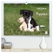 Welpen - Puppies (hochwertiger Premium Wandkalender 2026 DIN A2 quer), Kunstdruck in Hochglanz - Jeanette Hutfluss