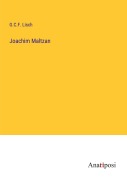 Cover-Bild zum Titel 'Joachim Maltzan' von 'G. C. F. Lisch'