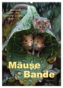 Mäusebande (Wandkalender 2026 DIN A2 hoch), CALVENDO Monatskalender - Cathrin Illgen