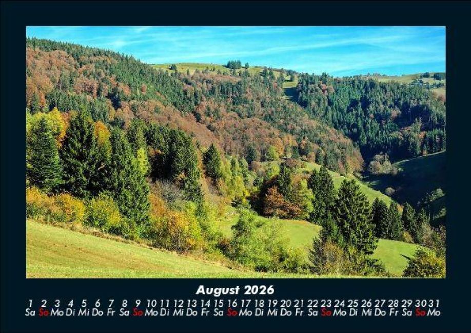 InsideView 12