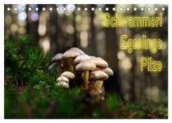 Cover-Bild zum Titel 'Schwammerl Egerlinge Pilze (Tischkalender 2026 DIN A5 quer), CALVENDO Monatskalender' von 'Birte Zabel'