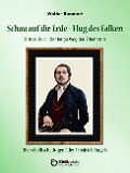 Cover-Bild zum Titel 'Schau auf die Erde - Der Flug des Falken. Drittes Buch: Der lange Weg der Erkenntnis' von 'Walter Baumert'