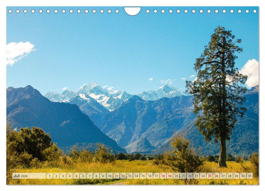 InsideView 12