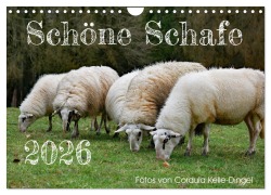 Cover-Bild zum Titel 'Schöne Schafe (Wandkalender 2026 DIN A4 quer), CALVENDO Monatskalender' von 'Cordula Kelle-Dingel'