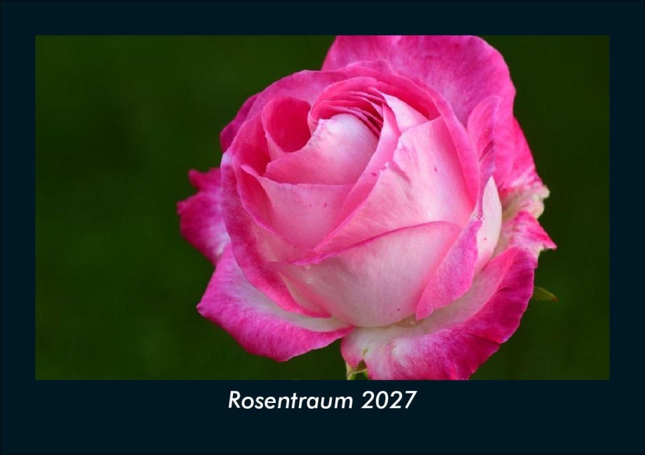 Rosentraum 2027 Fotokalender DIN A5 - Tobias Schmitt, Kevin Heber
