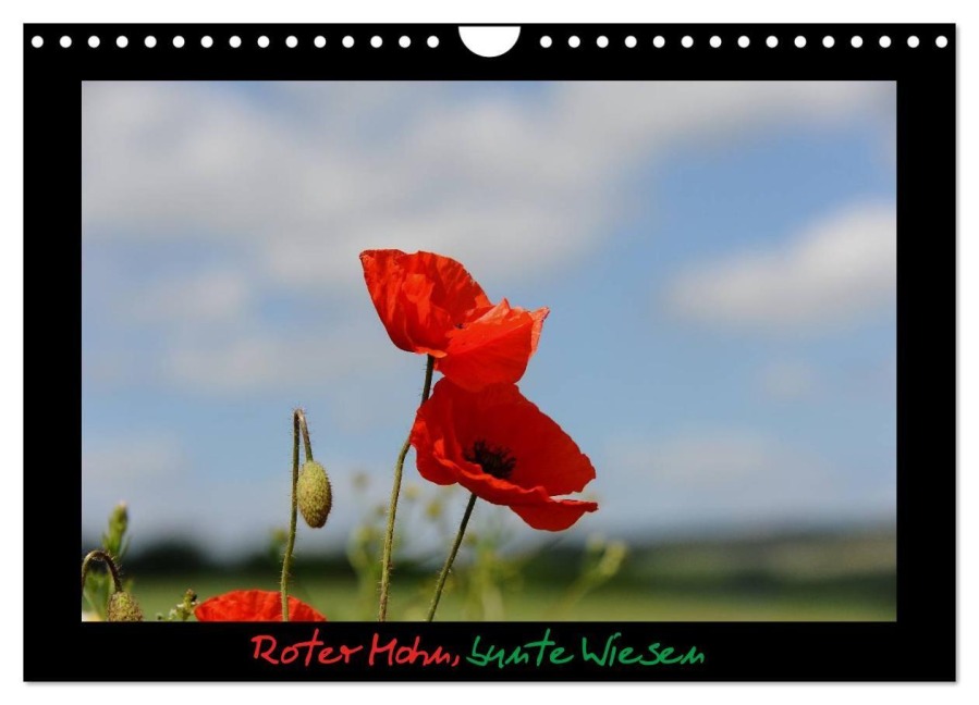 Roter Mohn, bunte Wiesen (Wandkalender 2027 DIN A4 quer), CALVENDO Monatskalender - Nordstern