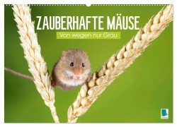 Cover-Bild zum Titel 'Zauberhafte Mäuse: Von wegen nur Grau (Wandkalender 2026 DIN A2 quer), CALVENDO Monatskalender' von 'Calvendo Calvendo'