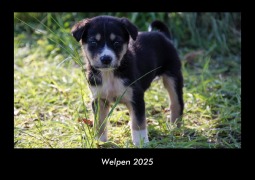 Cover-Bild zum Titel 'Welpen 2025 Fotokalender DIN A3' von 'Tobias Becker'