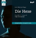 Cover-Bild zum Titel 'Die Hexe' von 'Isaac Bashevis Singer'