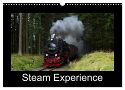 Cover-Bild zum Titel 'Steam Experience (Wall Calendar 2026 DIN A3 landscape), CALVENDO 12 Month Wall Calendar' von 'Marion Maurer'