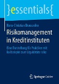 Risikomanagement in Kreditinstituten - Hans-Christian Brauweiler