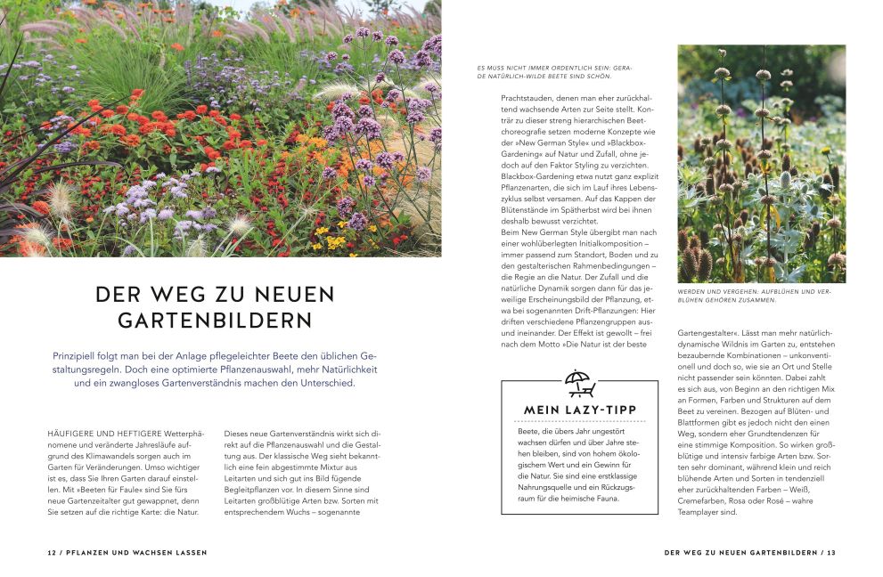 InsideView 3