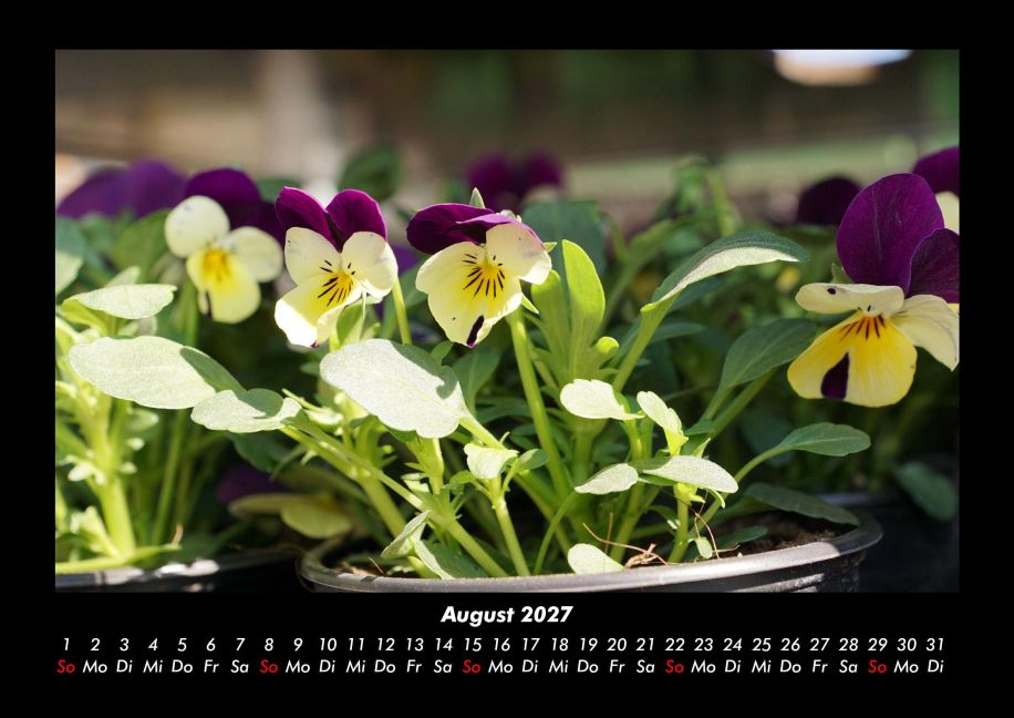 InsideView 12