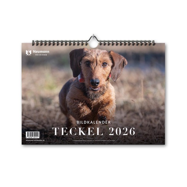 Teckel 2026 - 