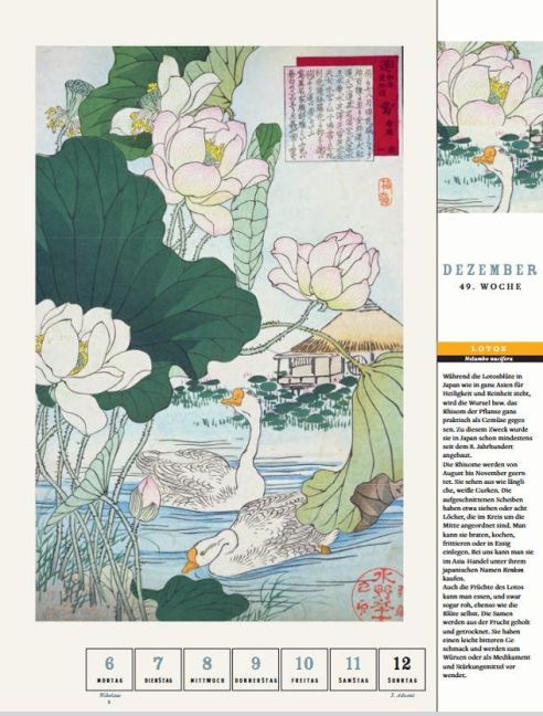 InsideView 5
