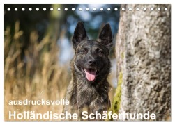 ausdrucksvolle Holländische Schäferhunde (Tischkalender 2026 DIN A5 quer), CALVENDO Monatskalender - Fotodesign Verena Scholze