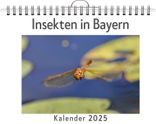 Cover-Bild zum Titel 'Insekten in Bayern - (Wandkalender 2025, Kalender DIN A4 quer, Monatskalender im Querformat mit Kalendarium, das perfekte Geschenk)' von 'Noah Herrmann'