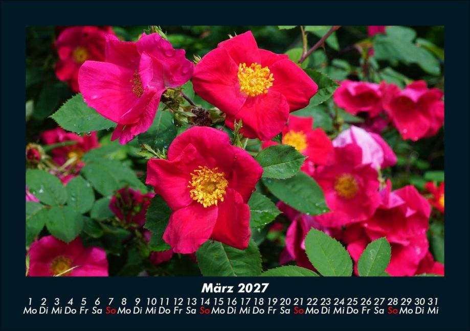 InsideView 7