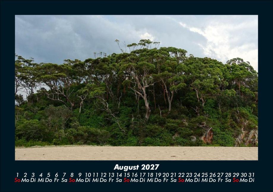 InsideView 12