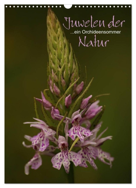 Juwelen der Natur - Ein Orchideensommer (Wandkalender 2027 DIN A3 hoch), CALVENDO Monatskalender - Dirk Stamm