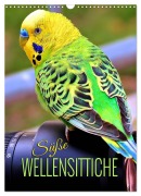 Cover-Bild zum Titel 'Süße Wellensittiche (Wandkalender 2026 DIN A3 hoch), CALVENDO Monatskalender' von 'Renate Utz'