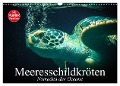 Meeresschildkröten. Nomaden der Ozeane (Wandkalender 2024 DIN A3 quer), CALVENDO Monatskalender - Elisabeth Stanzer