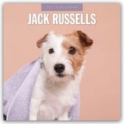 Cover-Bild zum Titel 'Jack Russells - Jack Russell Terrier 2027 - 16-Monatskalender' von 'Robin Red'