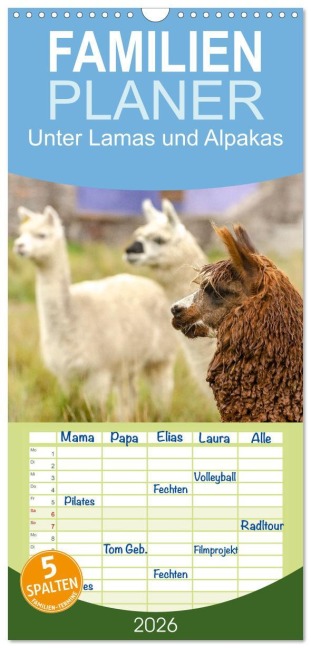 Familienplaner 2026 - Unter Lamas und Alpakas mit 5 Spalten (Wandkalender, 21 x 45 cm) CALVENDO - Oliver Nowak
