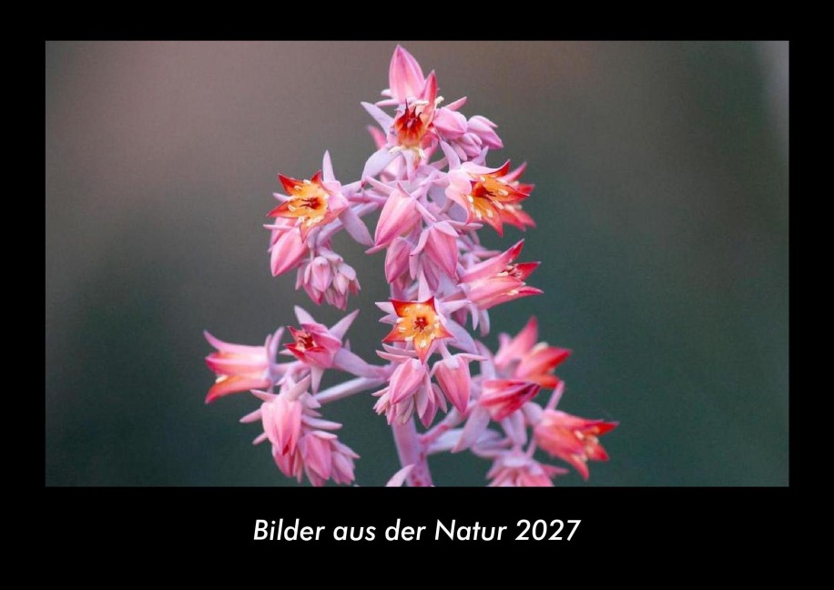 Bilder aus der Natur 2027 Fotokalender DIN A3 - Tobias Becker