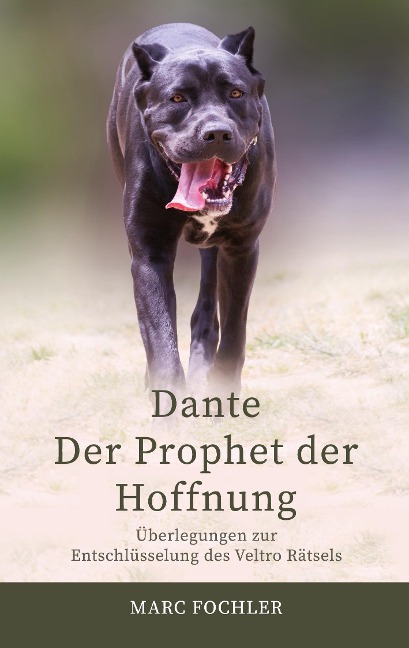 Dante - Der Prophet der Hoffnung - Marc Fochler