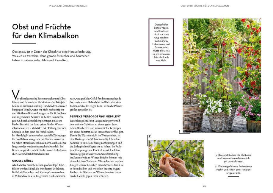 InsideView 5
