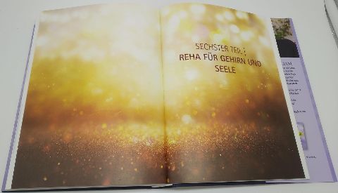 InsideView 12