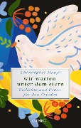 wir warten unter dem stern - Christopher Haupt