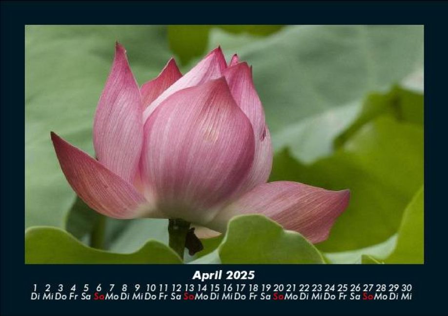 InsideView 8