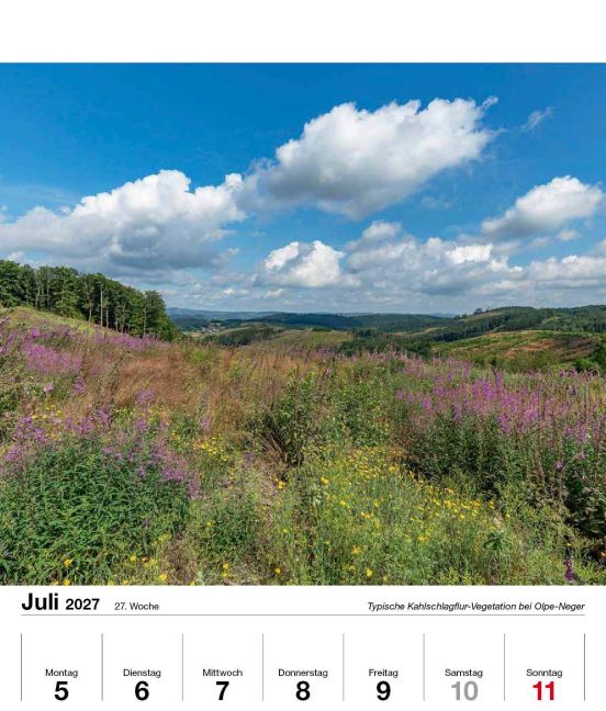 InsideView 15