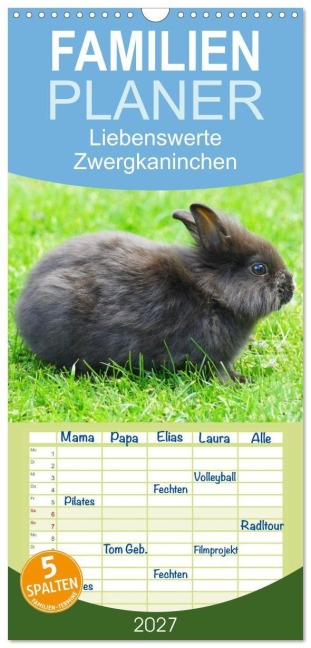 Familienplaner 2027 - Liebenswerte Zwergkaninchen mit 5 Spalten (Wandkalender, 21 x 45 cm) CALVENDO - Kattobello