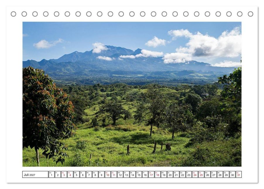 InsideView 12