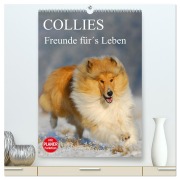 Cover-Bild zum Titel 'Collies - Freunde für¿s Leben (hochwertiger Premium Wandkalender 2026 DIN A2 hoch), Kunstdruck in Hochglanz' von 'Sigrid Starick'