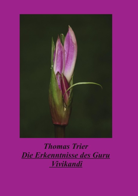 Die Erkenntnisse des Guru Vivikandi - Thomas Trier