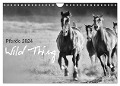 Pferde 2024 Wild Thing (Wandkalender 2024 DIN A4 quer), CALVENDO Monatskalender - Sabine Peters