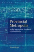 Cover-Bild zum Titel 'Provincial Metropolis' von 'David Boyk'