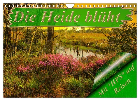 Die Heide blüht (Wandkalender 2024 DIN A4 quer), CALVENDO Monatskalender - Heinz-Peter Schwerin