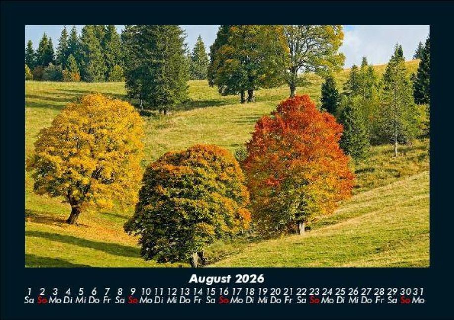 InsideView 12