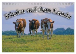 Cover-Bild zum Titel 'Rinder auf dem Lande (Tischkalender 2026 DIN A5 quer), CALVENDO Monatskalender' von 'Bildagentur Geduldig'