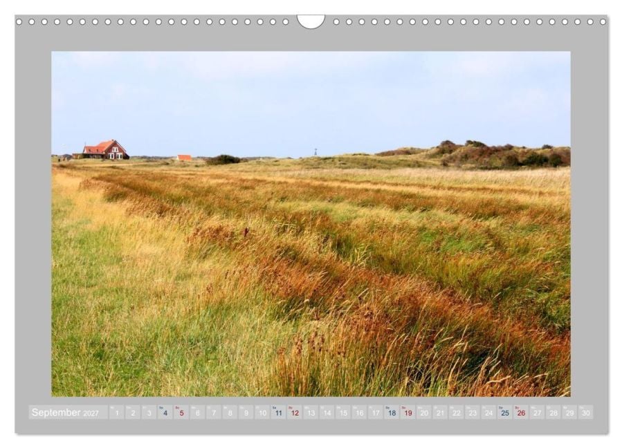 InsideView 14
