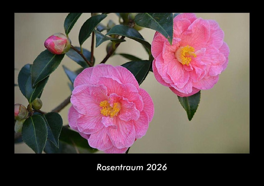 Rosentraum 2026 Fotokalender DIN A3 - Tobias Becker