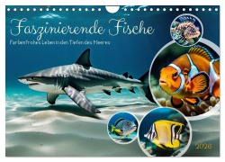 Cover-Bild zum Titel 'Faszinierende Fische (Wandkalender 2026 DIN A4 quer), CALVENDO Monatskalender' von 'Claudia Kleemann'