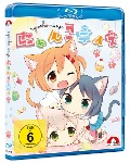 Cover-Bild zum Titel 'Nyanko Days' von ''