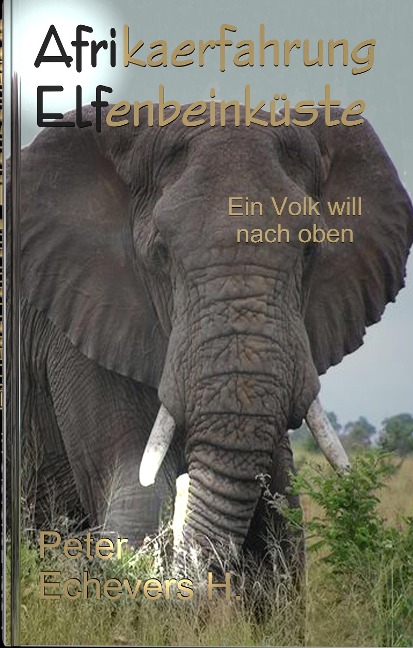 Afrikaerfahrung Elfenbeinküste - Peter Echevers H.