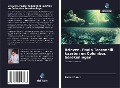 Cover-Bild zum Titel 'Brieven, Paolo Toscanelli kaarten en Columbus berekeningen' von 'Ramiz Daniz'